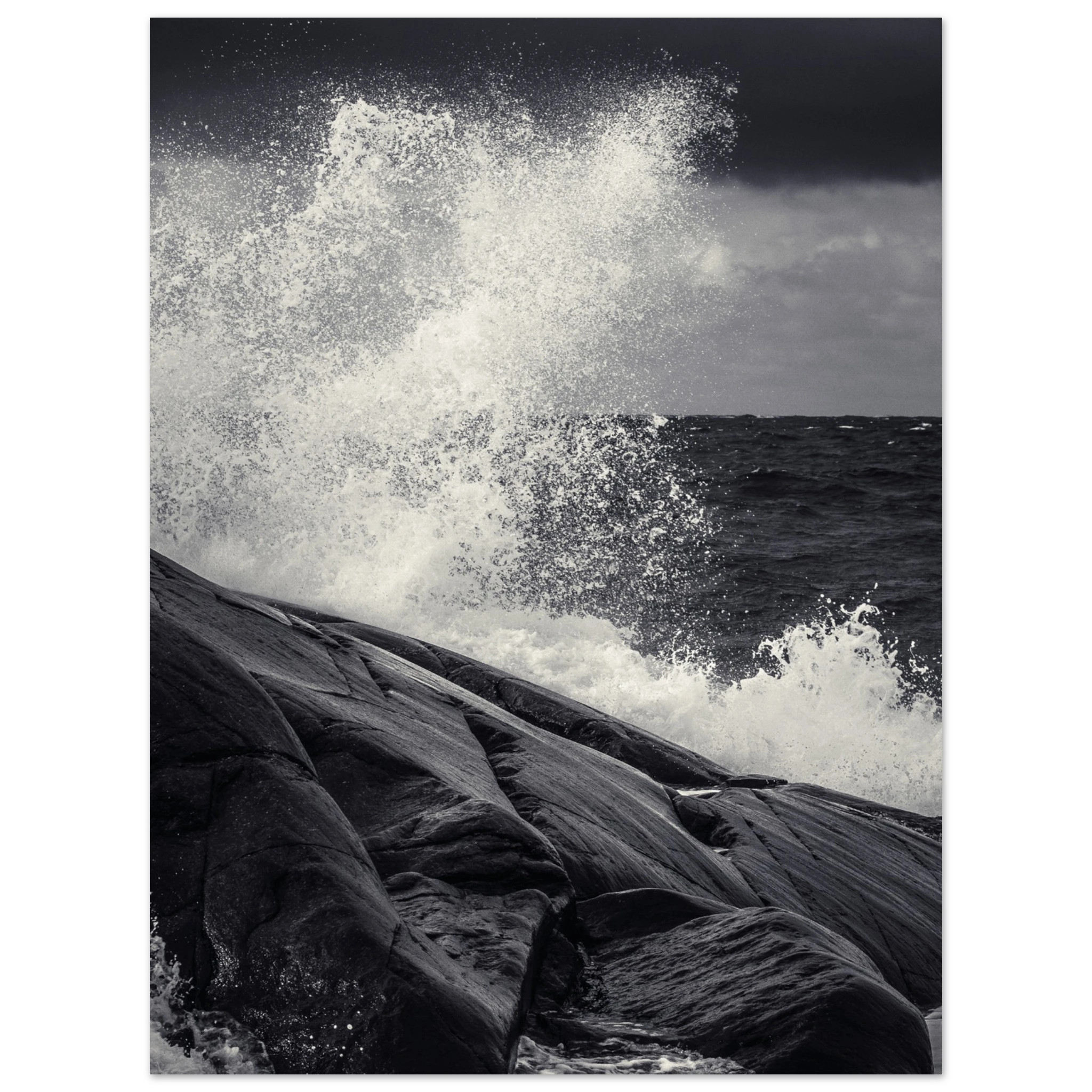 b521cc19-0b3e-4dd5-b0c7-0874695d62d5