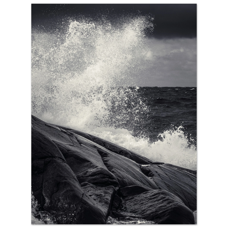 b521cc19-0b3e-4dd5-b0c7-0874695d62d5