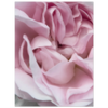 b64ed2fa-70b0-42b8-a41a-f5546bb2a178