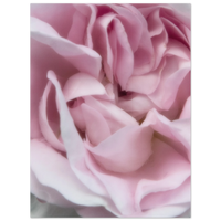 b64ed2fa-70b0-42b8-a41a-f5546bb2a178