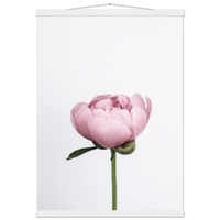 b6ca5656-3abd-4519-bb43-f23d95931e14