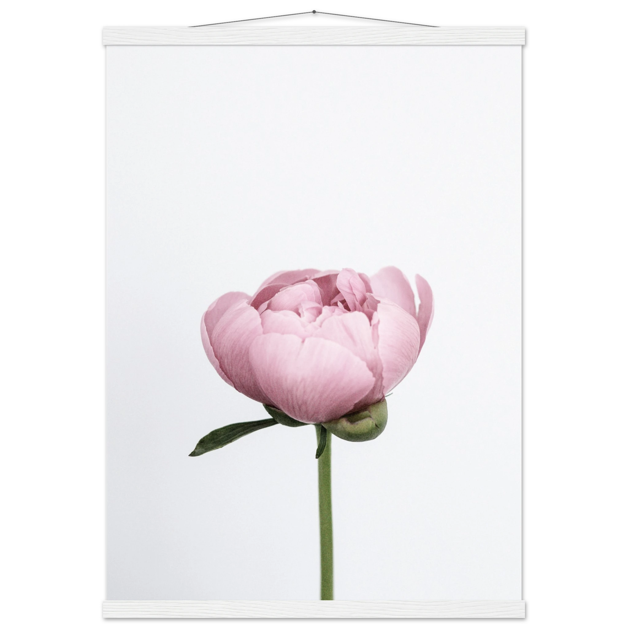 b6ca5656-3abd-4519-bb43-f23d95931e14