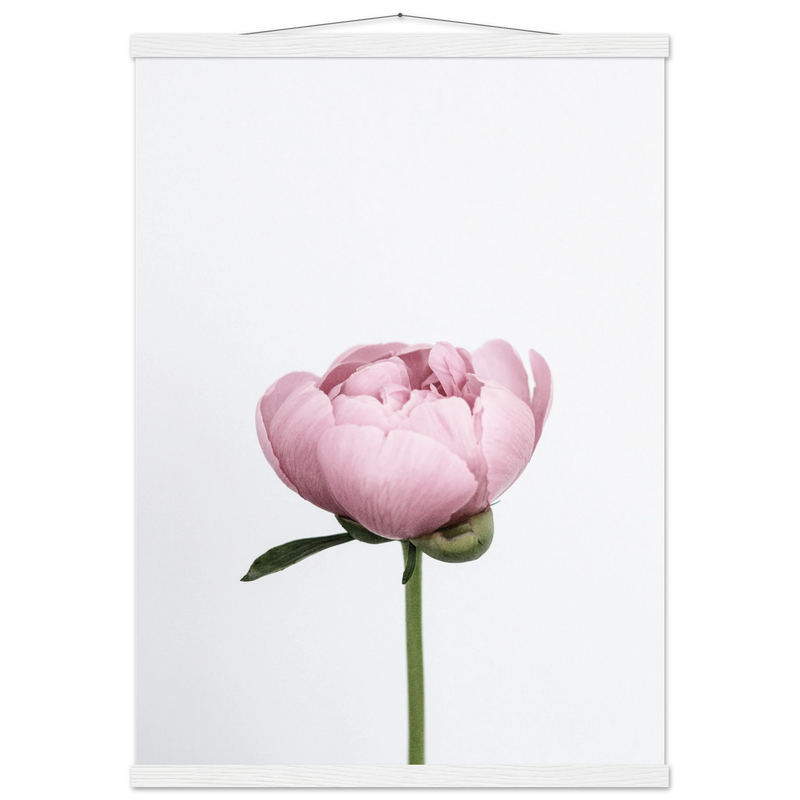 b6ca5656-3abd-4519-bb43-f23d95931e14