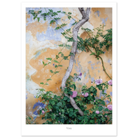 b707ac52-0412-4fbf-99cd-ca875bac826f