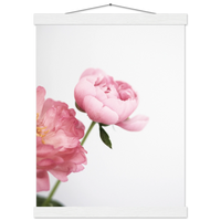 b7e04cbb-e24a-454b-bb86-31fddf4a7e9e