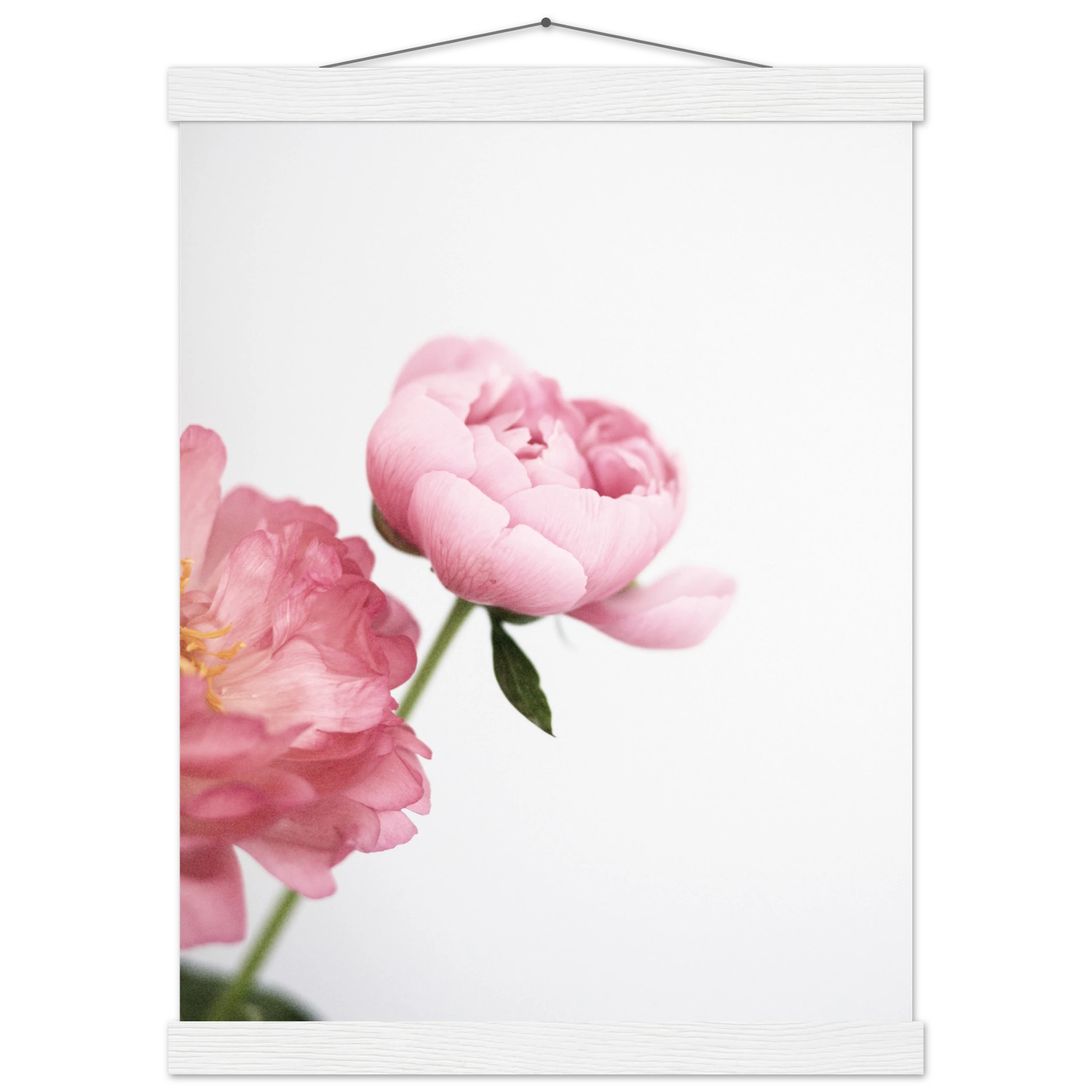 b7e04cbb-e24a-454b-bb86-31fddf4a7e9e