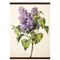 b7f19e56-4673-4719-a37f-7ce53d7ec186