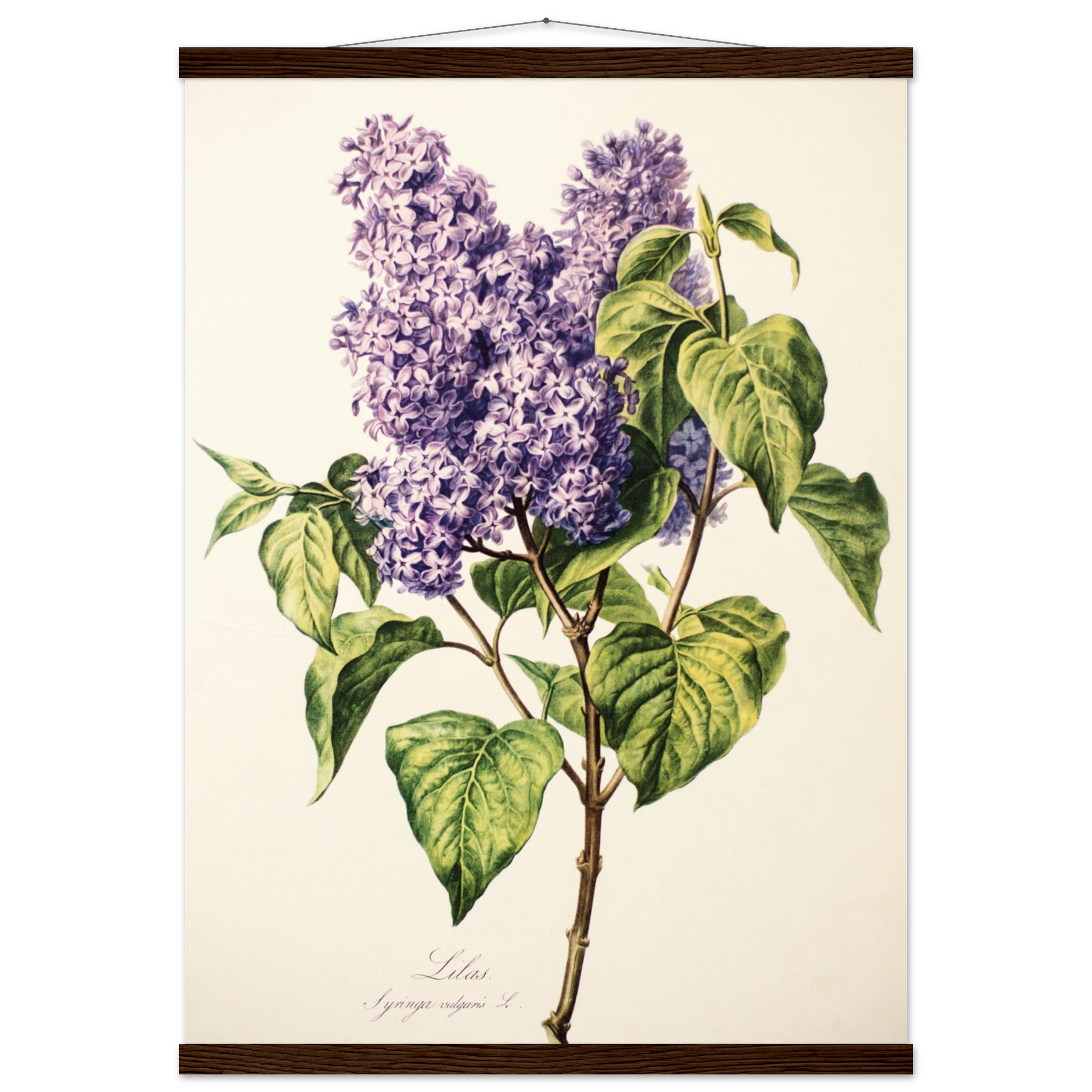 b7f19e56-4673-4719-a37f-7ce53d7ec186