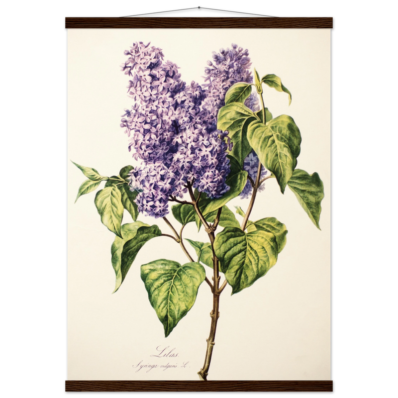 b7f19e56-4673-4719-a37f-7ce53d7ec186