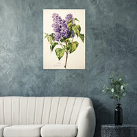 b82bf0a7-a73b-47cb-baf7-5a858812dbc5