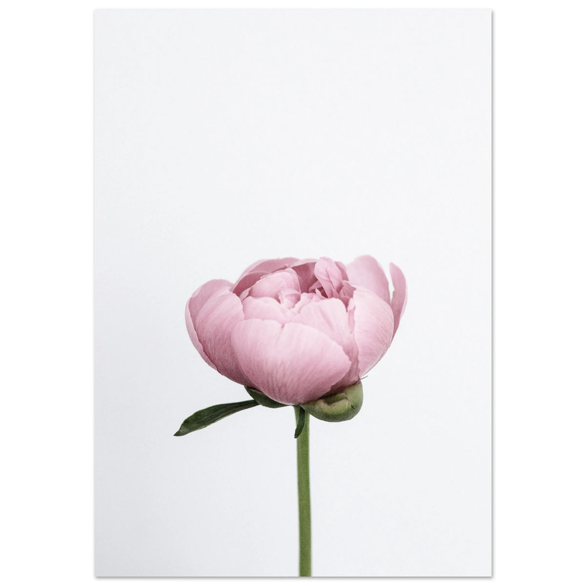 b8c732fa-0a4a-4ee5-a42a-e514b7af00ea