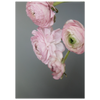 b8c7e441-c49c-49f7-855d-2b53cd56d4b5