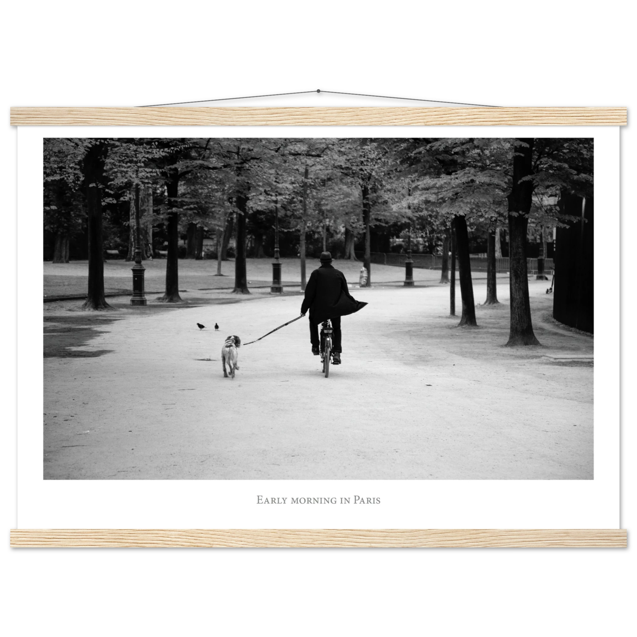 b95f39b9-8ec6-4617-b949-a7e6f9219595