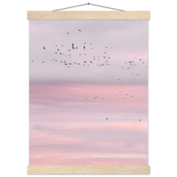 b9ff7a3d-60fd-4ba0-b526-5fcd4a17a62d