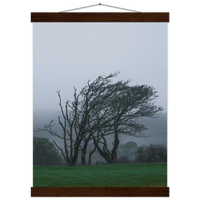 ba90dd1a-5907-494e-a981-73c1b72bccb6