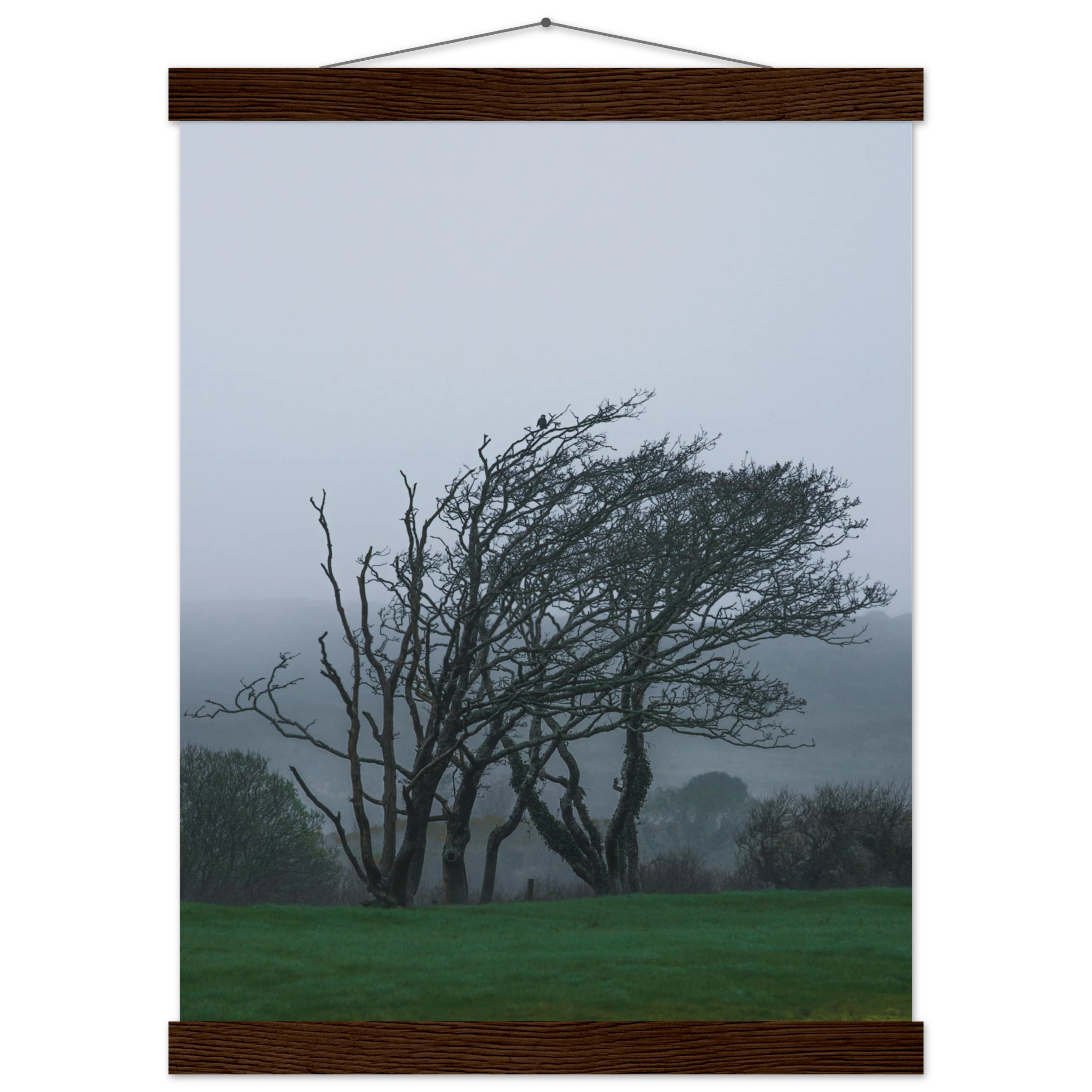 ba90dd1a-5907-494e-a981-73c1b72bccb6