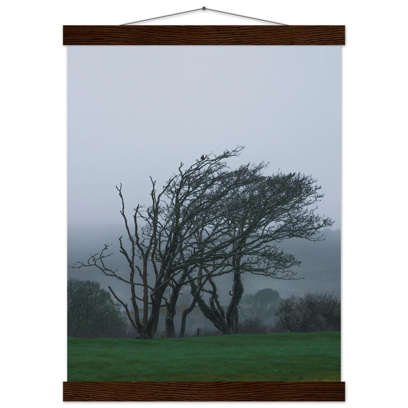 ba90dd1a-5907-494e-a981-73c1b72bccb6