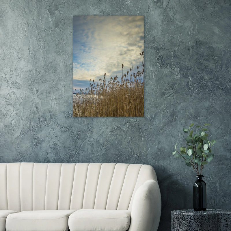 bb00addd-10ae-4bdf-9119-d3db59b35d2b