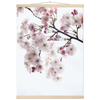 bb921ecc-c08e-44e3-a0e6-740620402303