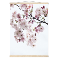 bb921ecc-c08e-44e3-a0e6-740620402303
