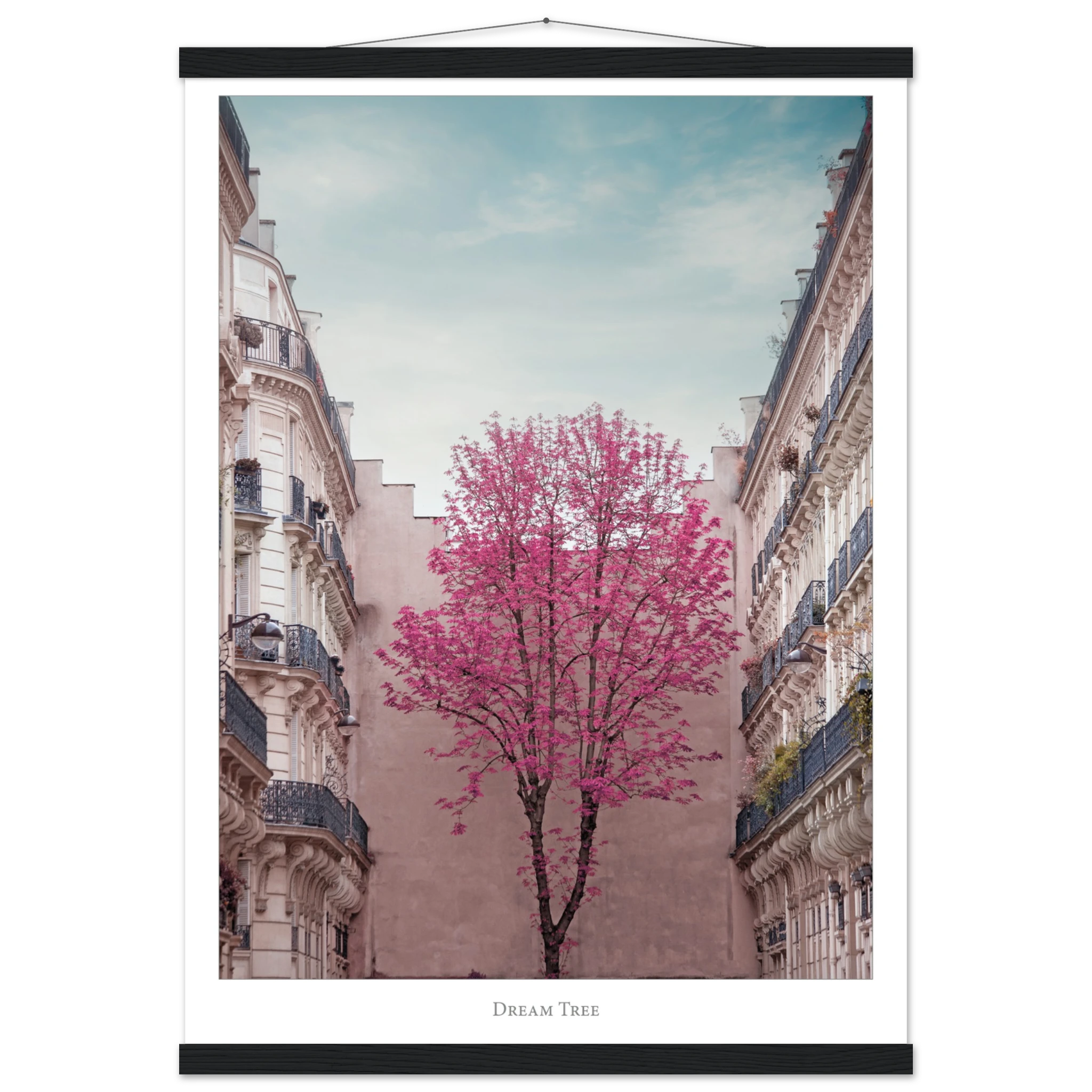 bbb77a03-03e3-4732-8e7b-390f8212f769