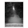 bbc0f0ff-4bc8-4fb0-bf4a-da8c63fab728