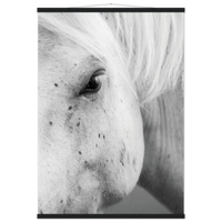 bc13755b-064d-4779-8a77-88a8e319f269