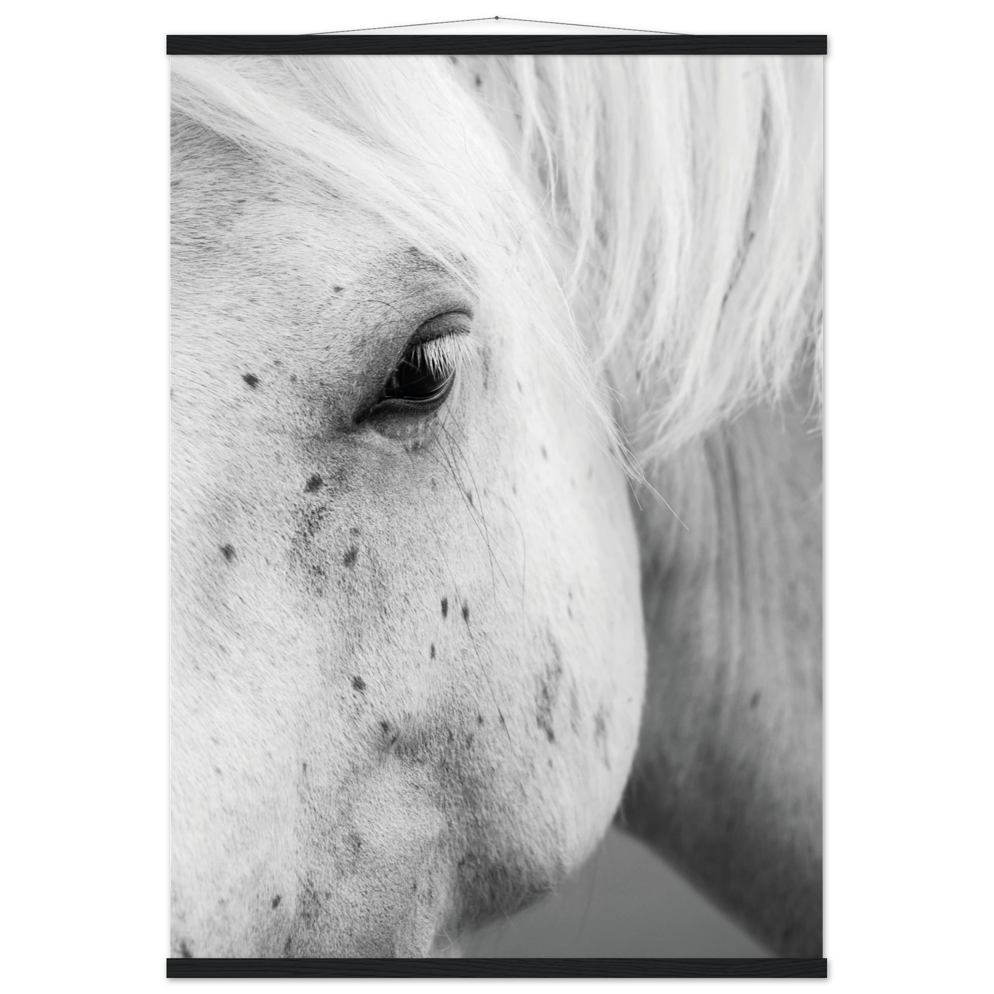 bc13755b-064d-4779-8a77-88a8e319f269