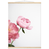 bc62d2e6-b54c-4bdd-b117-941ce9e7d5ad