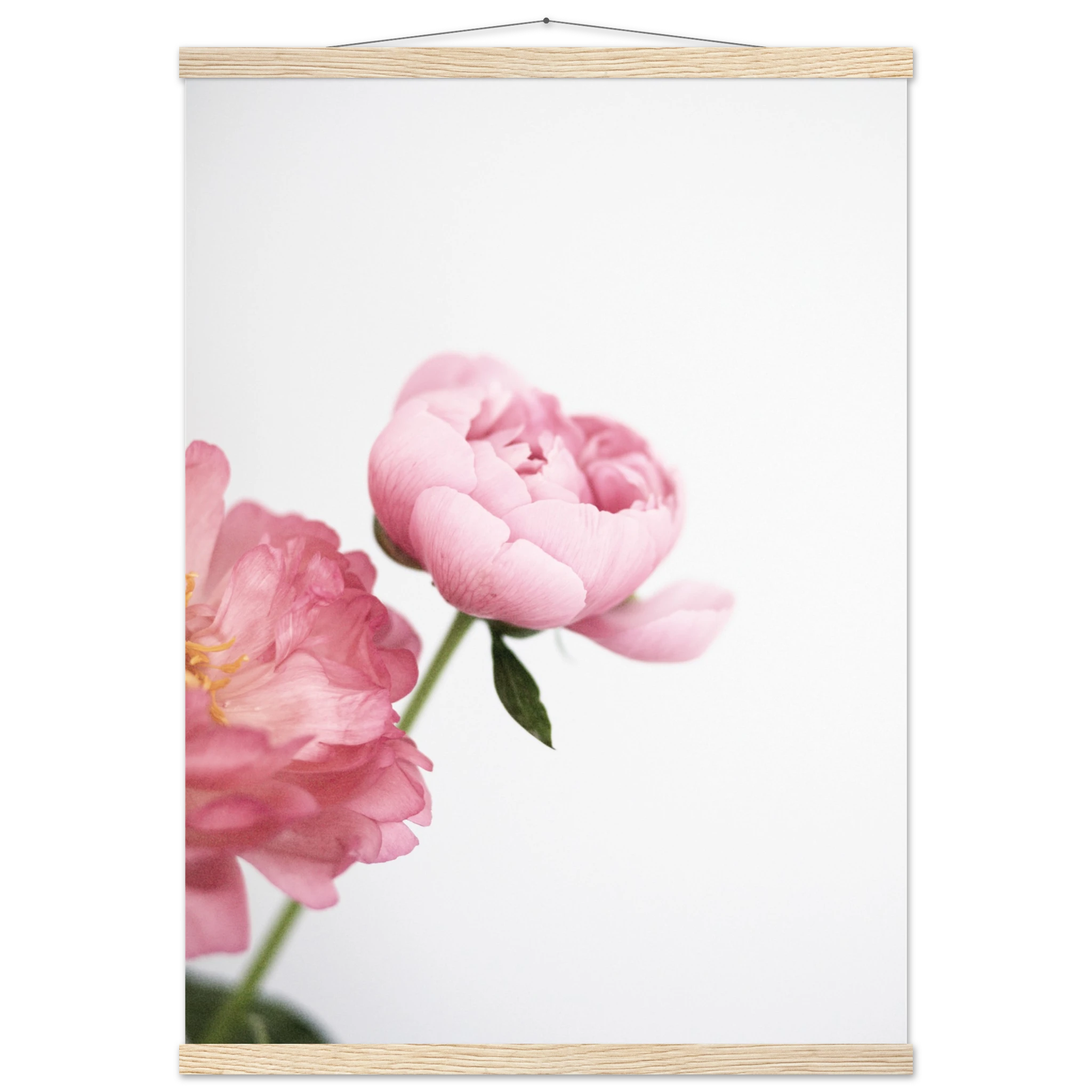 bc62d2e6-b54c-4bdd-b117-941ce9e7d5ad