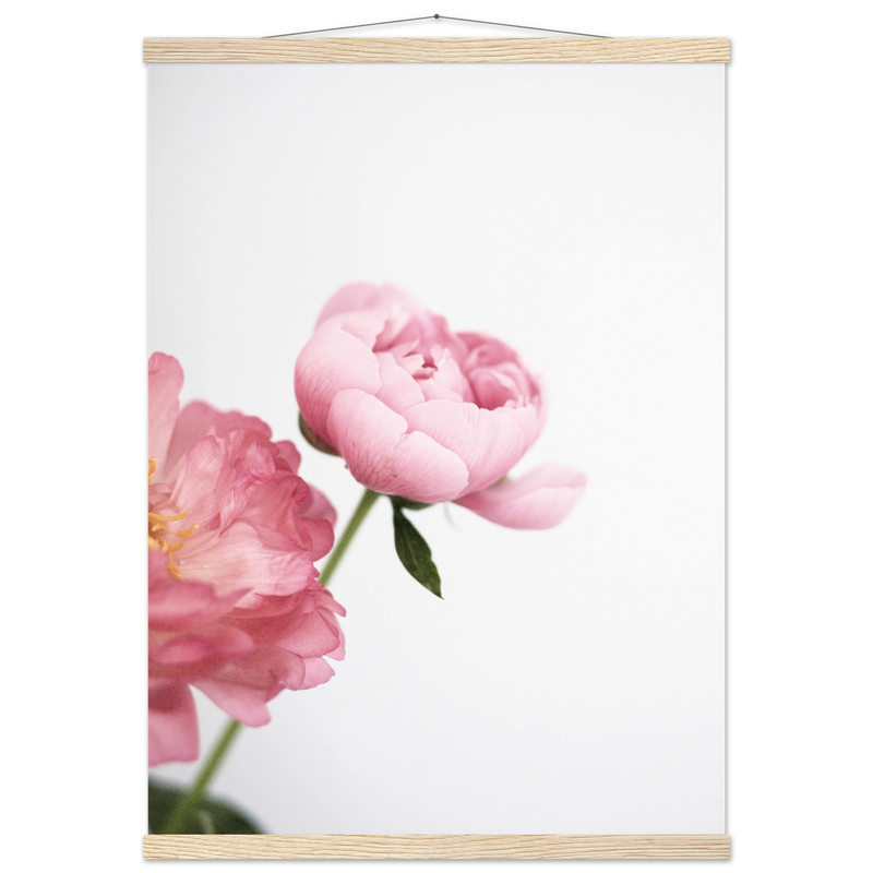 bc62d2e6-b54c-4bdd-b117-941ce9e7d5ad