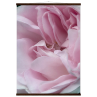 be017520-8ba1-4930-bc1e-973b22a59990