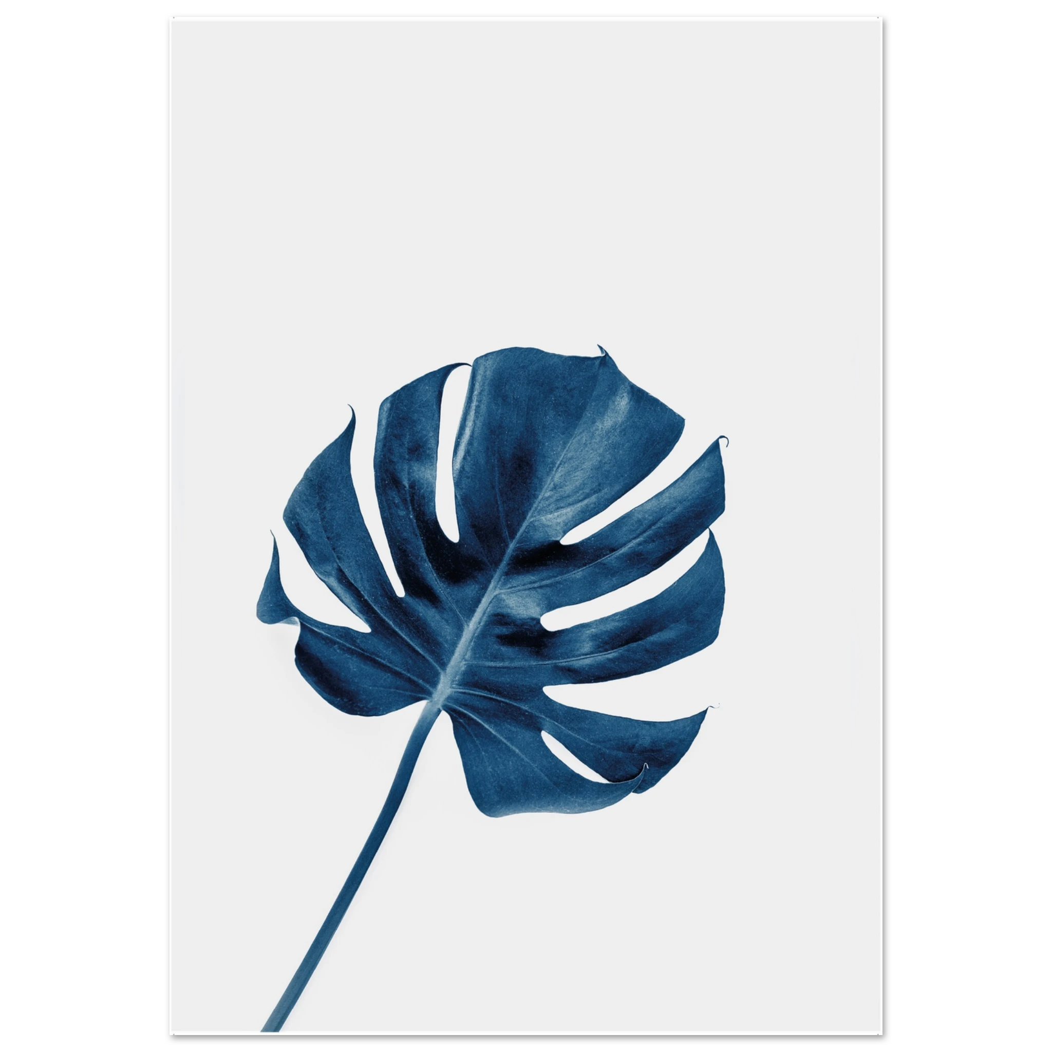 be80c0ef-07e2-4ddb-9bab-0c448a3d224b