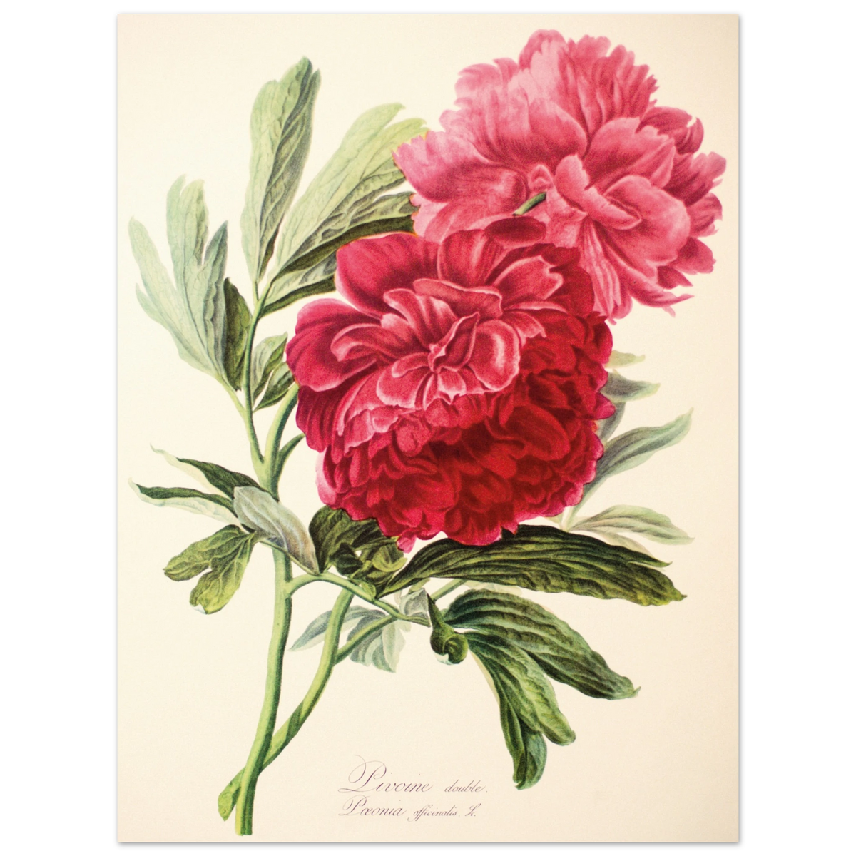 bf46538a-aa4f-44f7-a219-5a0b0c692b2a