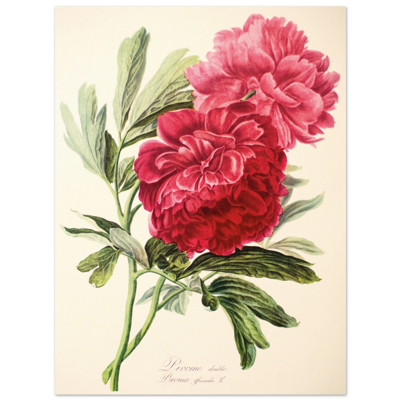 bf46538a-aa4f-44f7-a219-5a0b0c692b2a