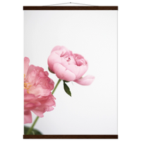 c0aed365-7acf-4512-a9d3-48f115d58f28