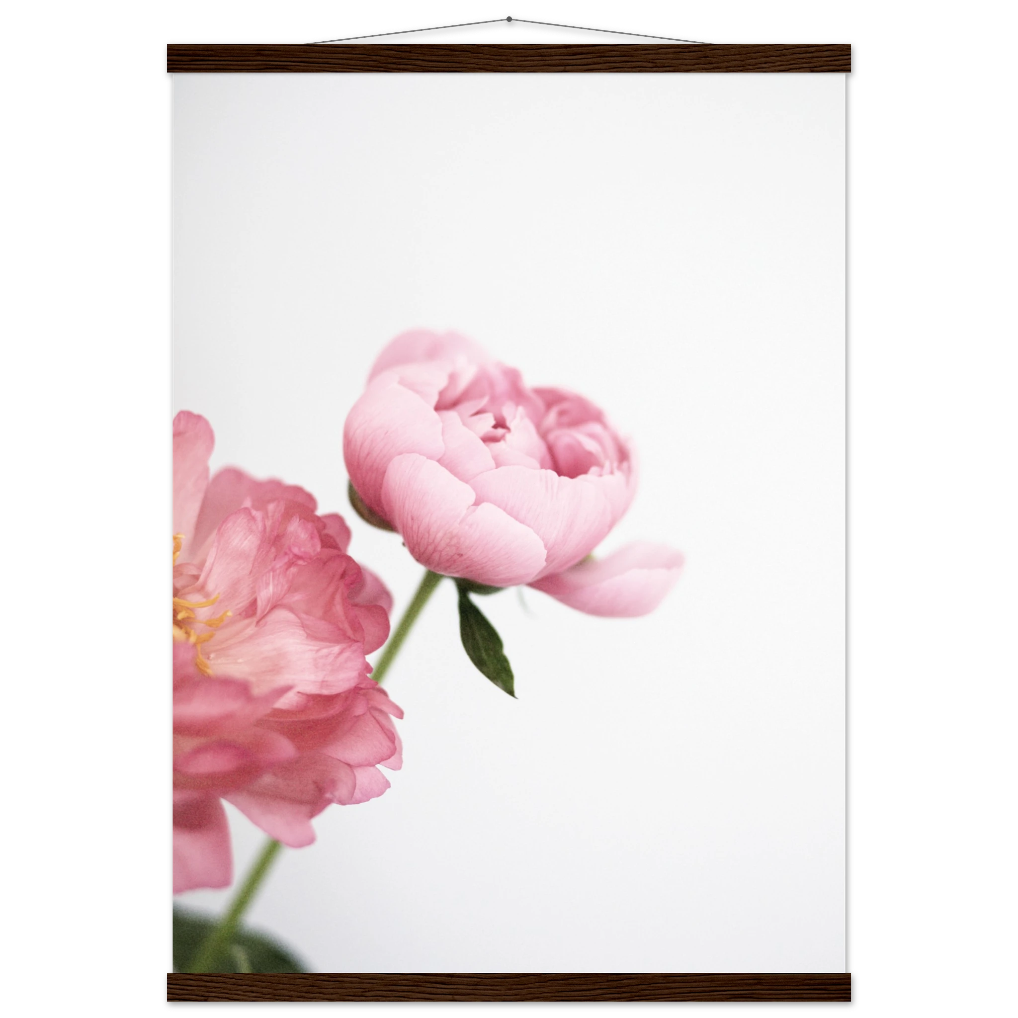 c0aed365-7acf-4512-a9d3-48f115d58f28