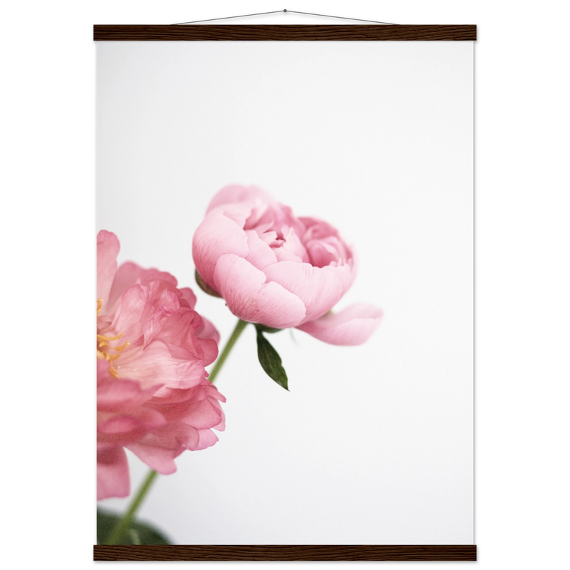 c0aed365-7acf-4512-a9d3-48f115d58f28