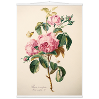 c1bca862-d0cf-4fbe-9e30-d6f69e99f110