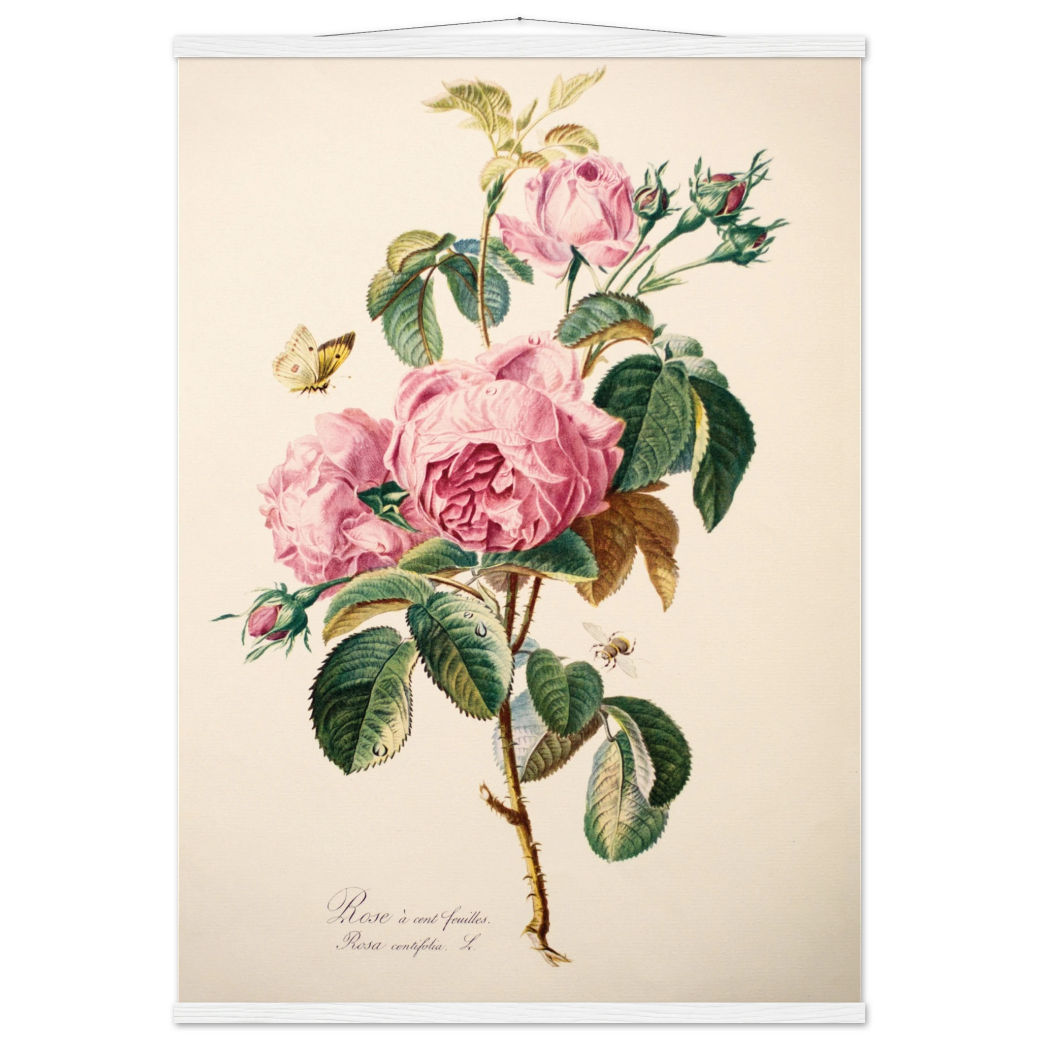 c1bca862-d0cf-4fbe-9e30-d6f69e99f110