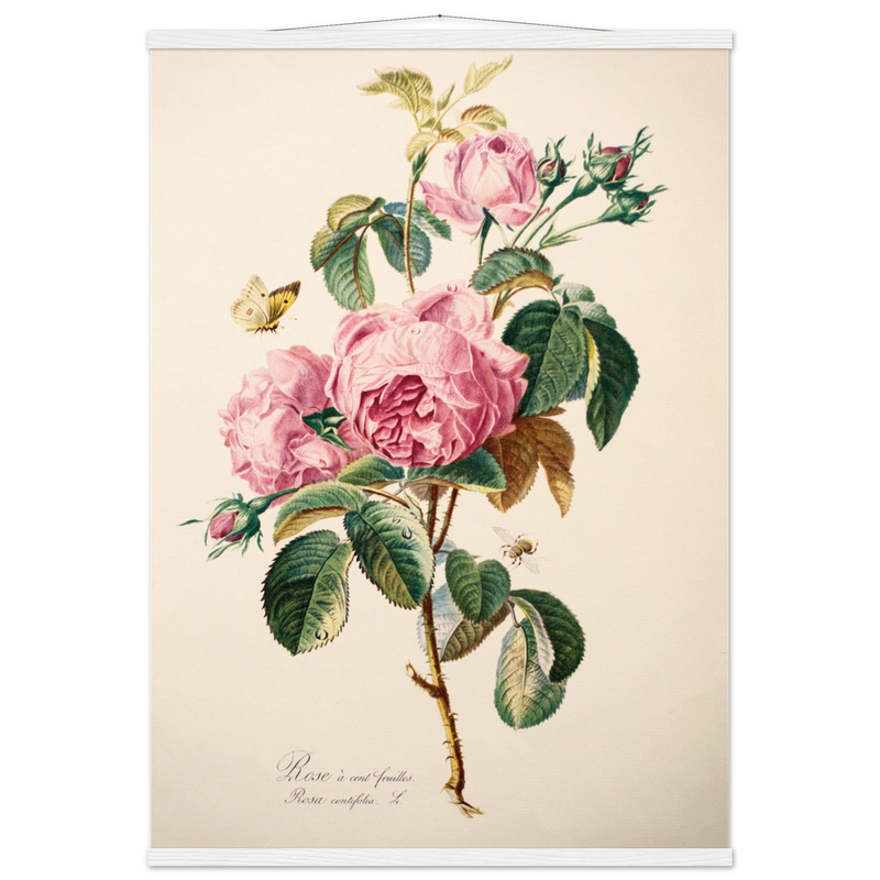 c1bca862-d0cf-4fbe-9e30-d6f69e99f110