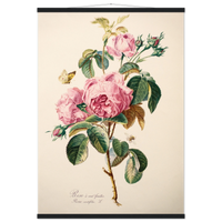 c2b5e64e-0729-40e4-93cd-c6e0d82e89ca