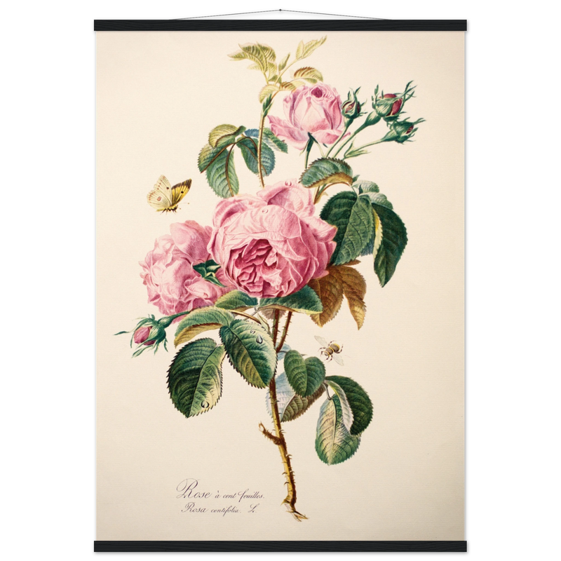 c2b5e64e-0729-40e4-93cd-c6e0d82e89ca