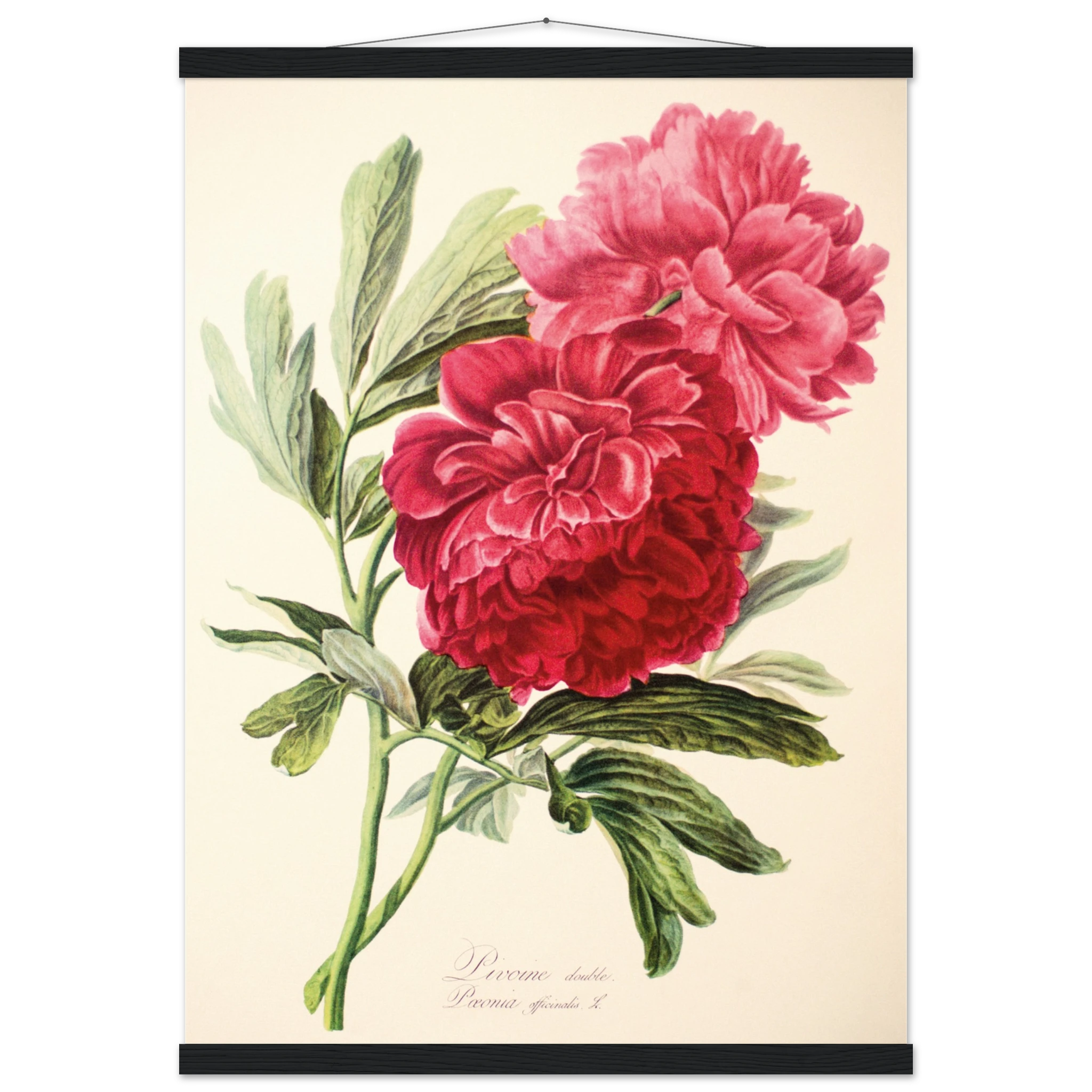 c3612947-cca8-4034-af7b-94bc53bcb125