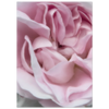 c3d98644-e22d-4b58-a345-b230dbdd2eb4