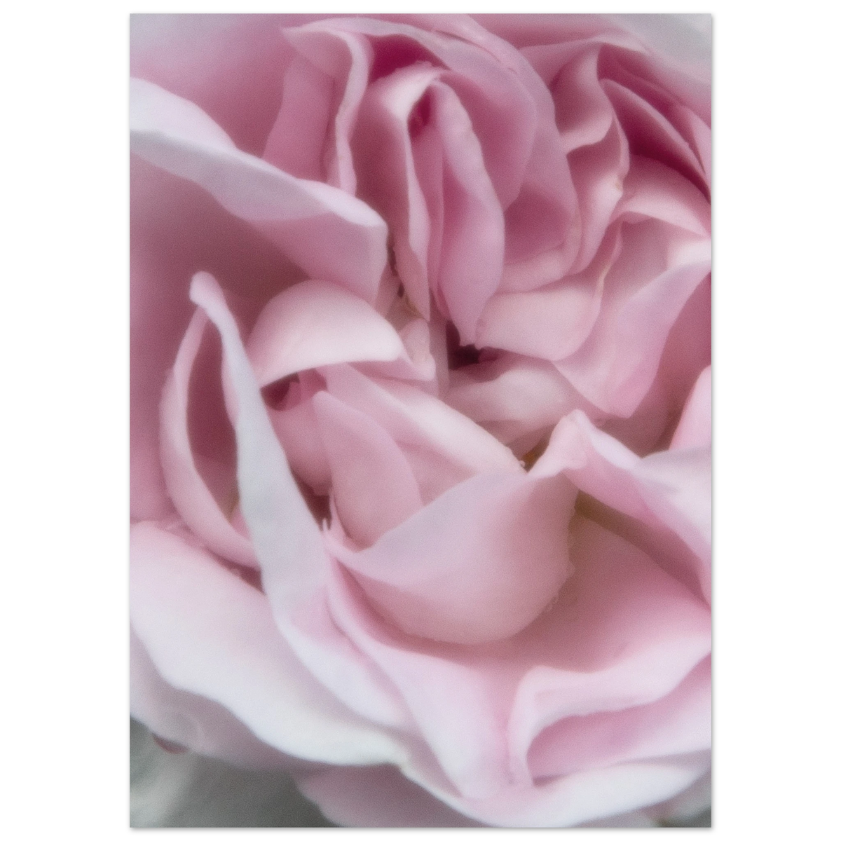 c3d98644-e22d-4b58-a345-b230dbdd2eb4