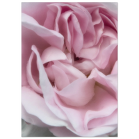 c3d98644-e22d-4b58-a345-b230dbdd2eb4