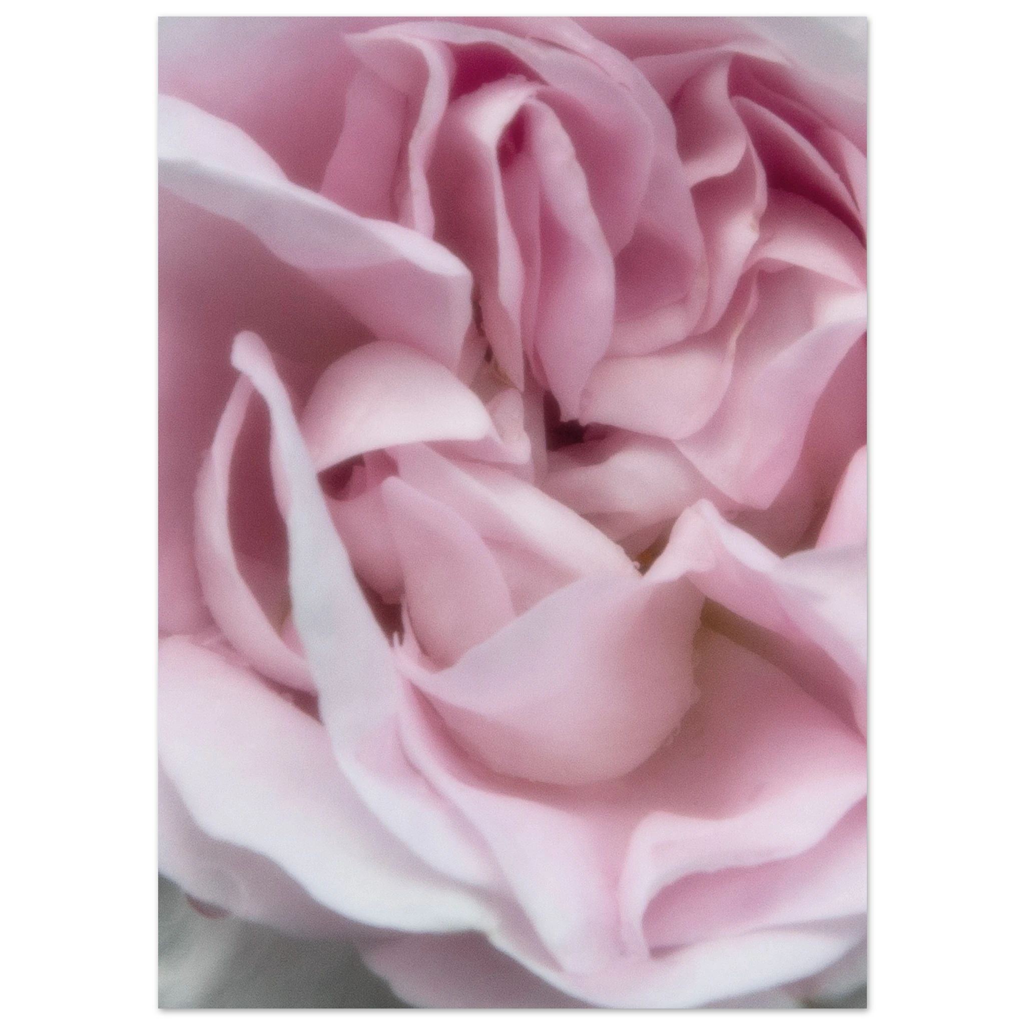 c3d98644-e22d-4b58-a345-b230dbdd2eb4