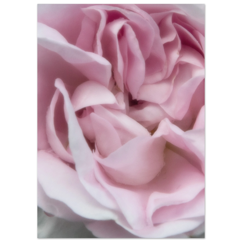 c3d98644-e22d-4b58-a345-b230dbdd2eb4
