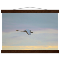 c42045df-1cbf-4b18-b872-523eb9dcf5f6